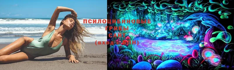 Галлюциногенные грибы Psilocybe  omg   Тимашёвск 